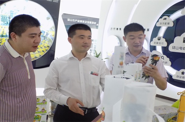 绳惠展同志陪同团市委、团县委领导调研.JPG