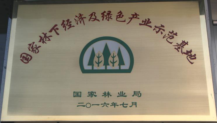 国家林业局表彰.png