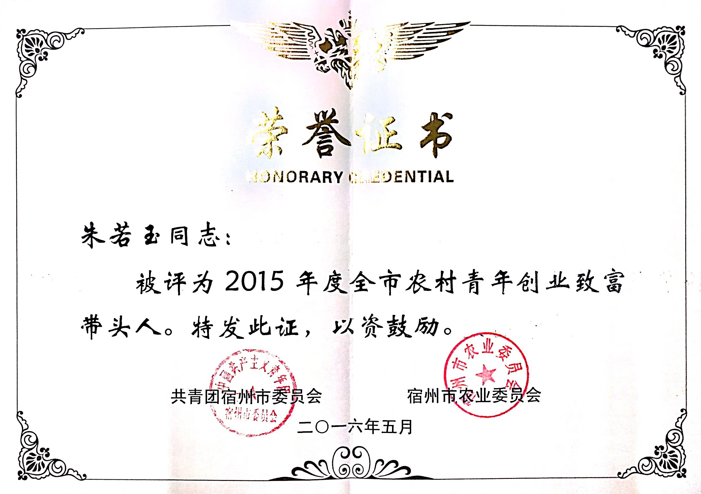 全市农村青年致富带头人.png
