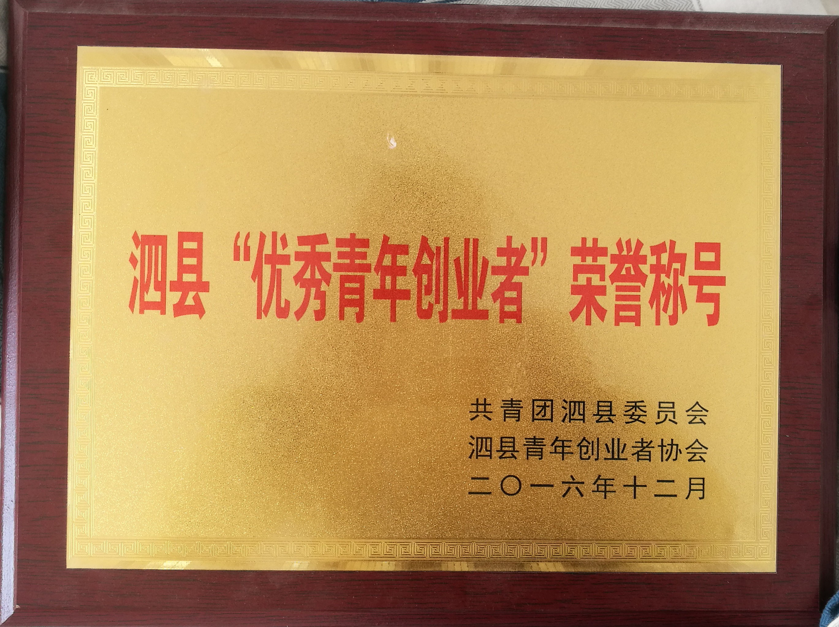 优秀青年创业者.jpg