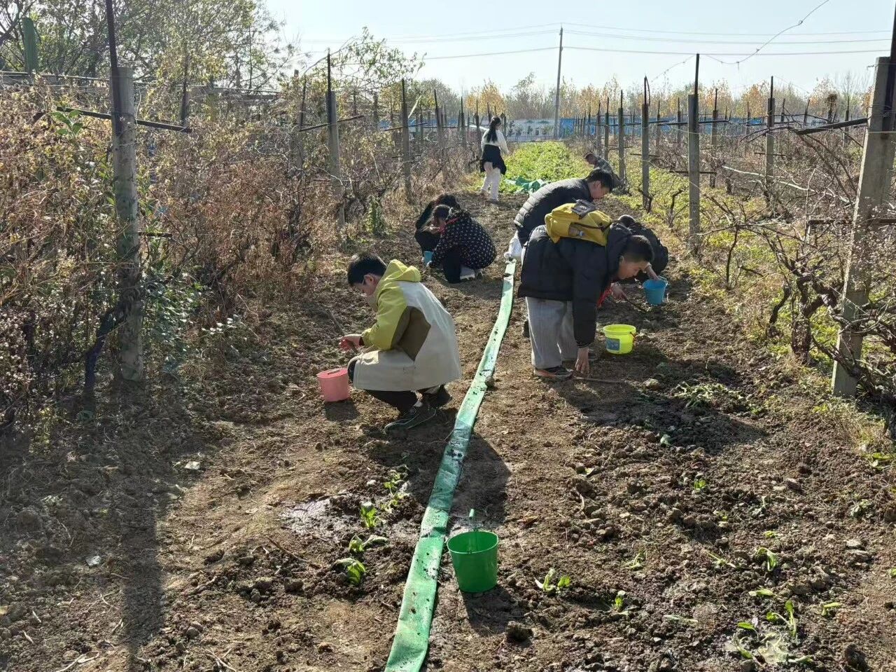 6c5c67a21a172ef5193f5ba676169886.jpg 6c5c67a21a172ef5193f5ba676169886.jpg